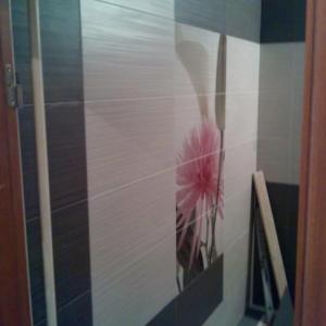 Снимка  от Ивайло Маринов