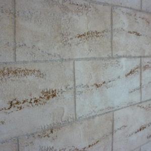 Снимка  от Ивайло Маринов