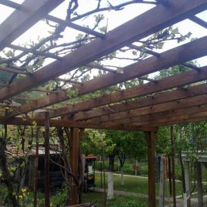 Снимка  от Георги Чолаков