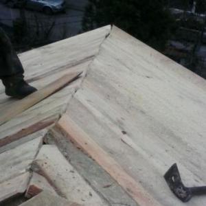 Снимка  от Стоян Нанов