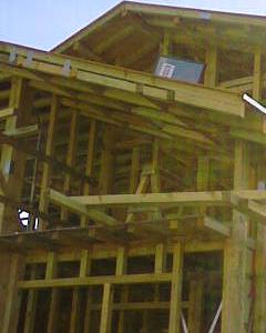 Снимка  от Трайко Сотиров