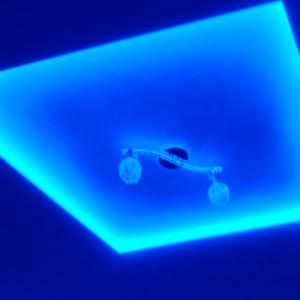 Снимка  от Димитър Тошков