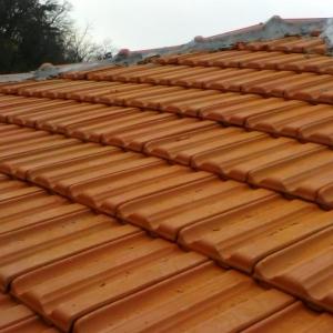 Снимка  от Стоян Нанов