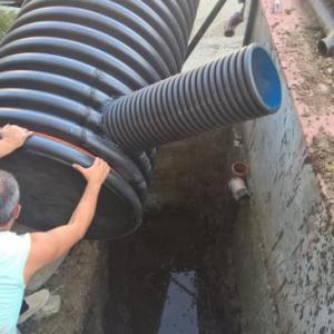 Снимка  от Александър Димитров