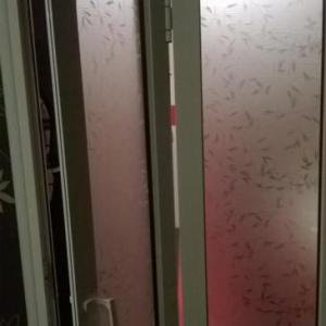 Снимка  от Александър Димитров