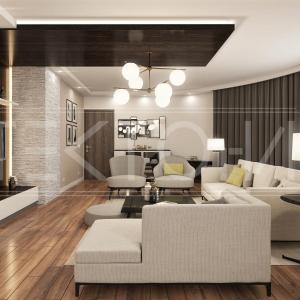 Living room and kitchen