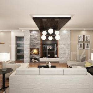 Living room and kitchen