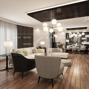 Living room and kitchen