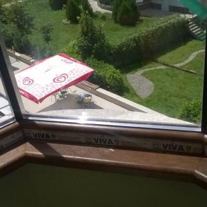 Снимка  от Александър Димитров