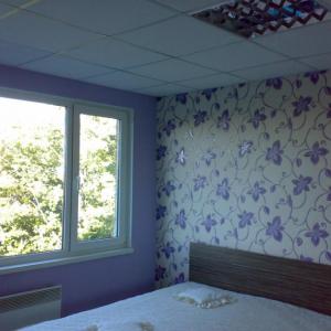 Снимка  от Ивайло Тодоров