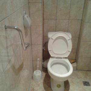 Ремонт на тоалетна