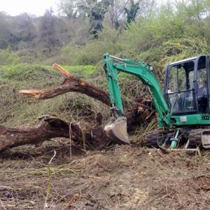 Снимка  от Виктор Петров