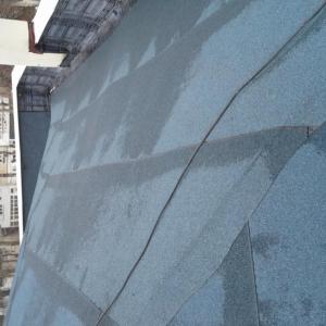 Снимка  от Мирослав Къбов