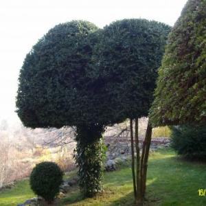 Снимка  от Светослав Атанасов