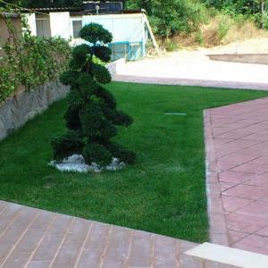 Снимка  от Иван Иванов