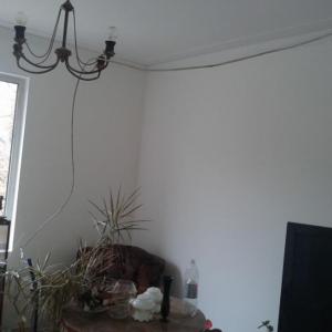 Боядисване