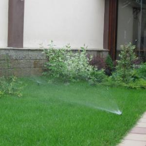 Снимка  от velina simeonova