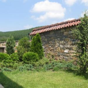 Снимка  от velina simeonova