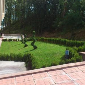 Снимка  от Иван Иванов