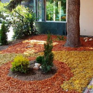 Снимка  от Светослав Атанасов