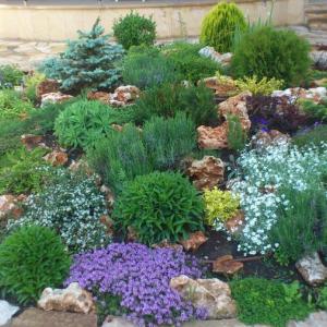 Снимка  от Иван Иванов