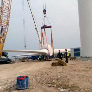 Снимка  от Теодор Томов