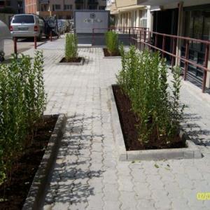 Снимка  от Светослав Атанасов