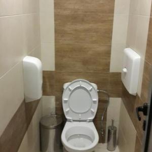 Ремонт тоалетна