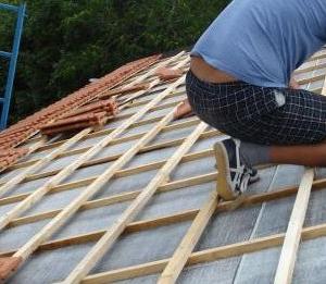 Снимка  от Явор Иванов