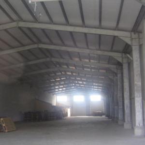 Снимка  от Димитър Гинов