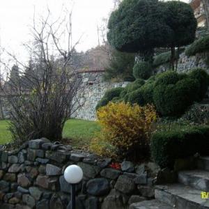 Снимка  от Светослав Атанасов