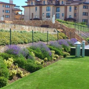 Снимка  от Иван Иванов