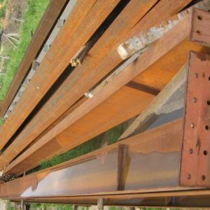 Снимка  от Димитър Гинов