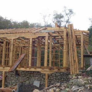 Снимка  от Жан Кръстев