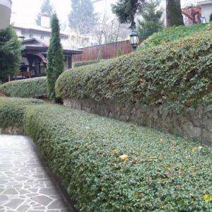 Снимка  от Светослав Атанасов