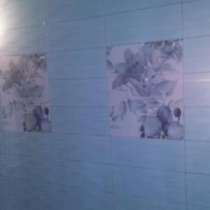 Снимка  от Иван Иванов