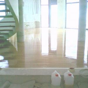 Снимка  от ivaylo yanchev