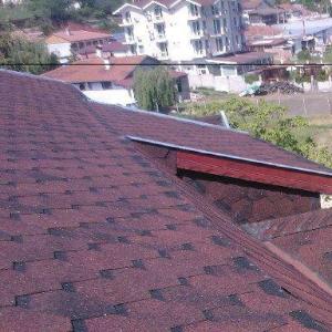 Снимка  от Колю Колев