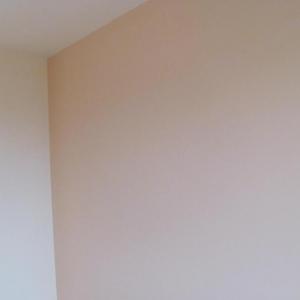 Снимка  от Светозар Иванов