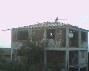 Снимка  от Цветан Савов