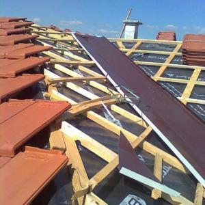 Снимка  от Трайчо Трайков