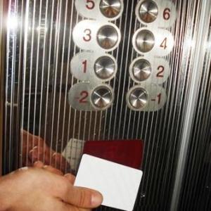 Снимка  от Олга Георгиева