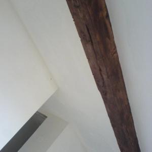 Снимка  от Владислав Харалампиев