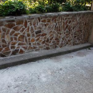 Снимка  от Иван Тодоров