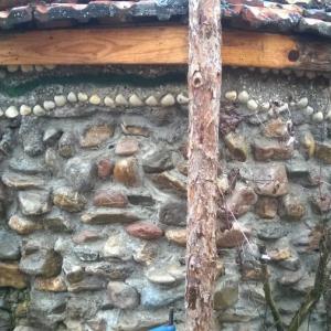 Снимка  от Здравко Йосифов