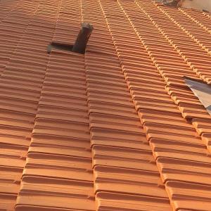 Снимка  от Трайчо Трайков