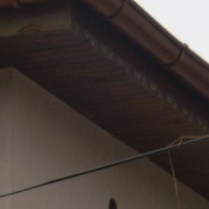 Снимка  от Красимир Маев