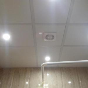 Снимка  от Петър Джамбазов