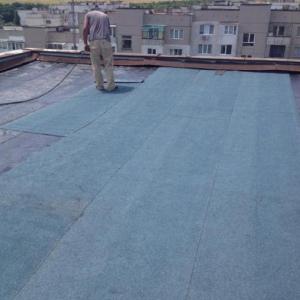 Снимка  от румен радославов