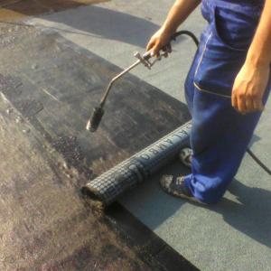 Снимка  от венцислав Райков